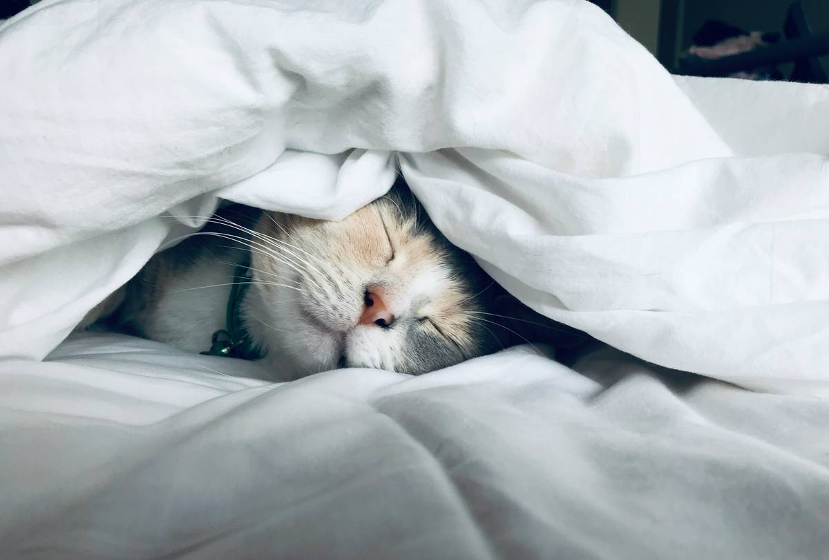 Why Your Sleep Course Routine Keeps Failing—And How to Fix It